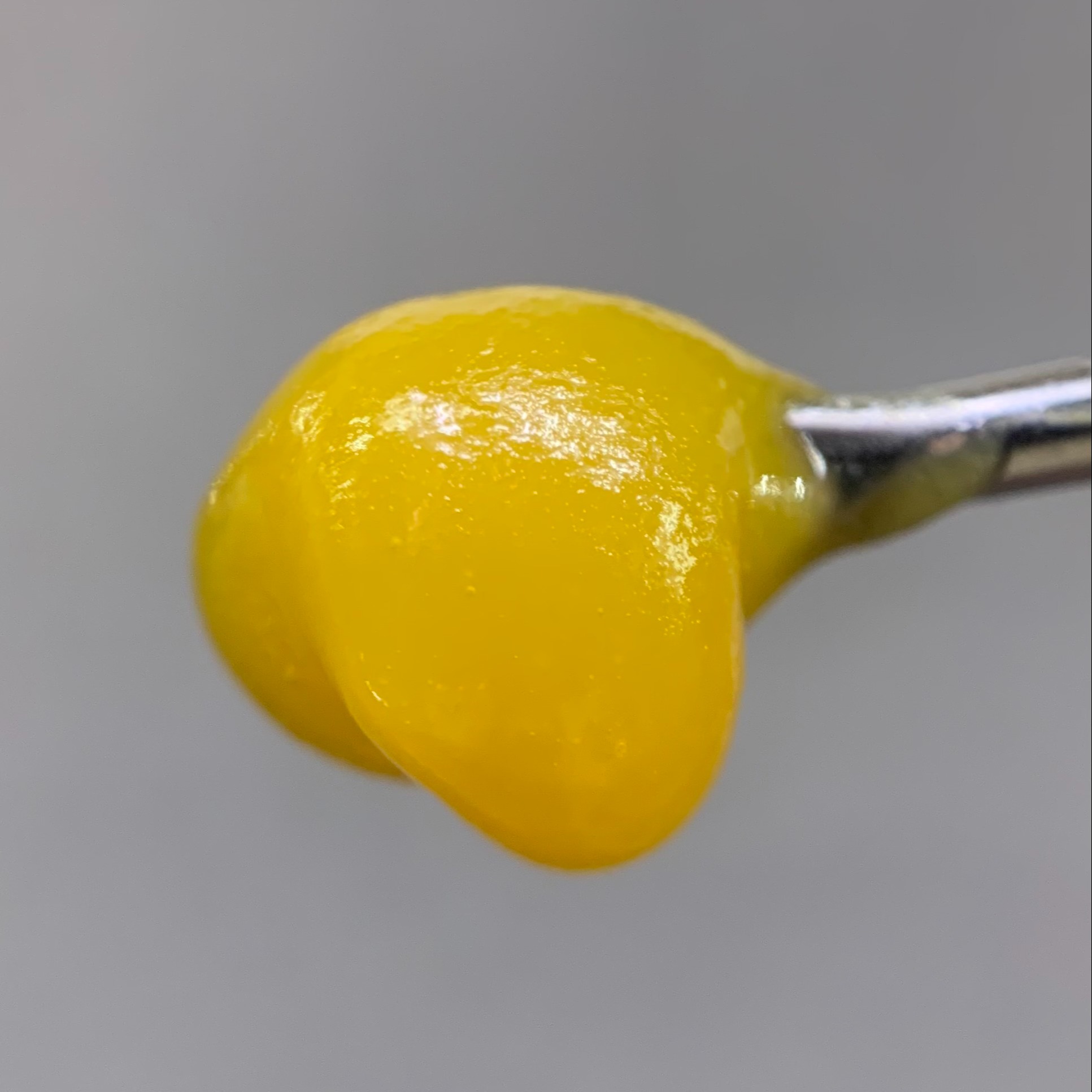 Karma Radio - Terp Sauce